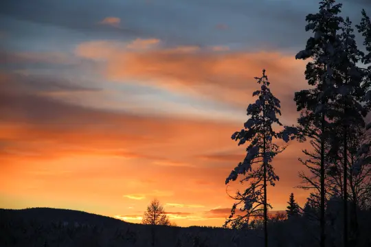 Finnskogen