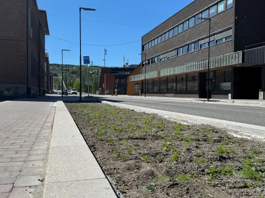 Bilde av Storgata i Kongsvinger