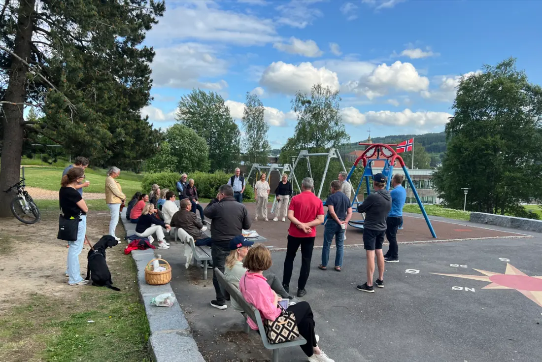 folk i park
