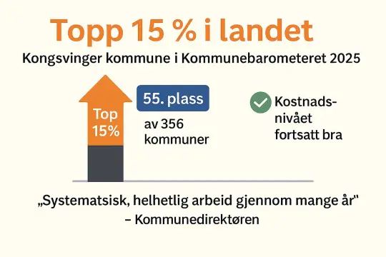 Illustrasjon hvor det står 15%