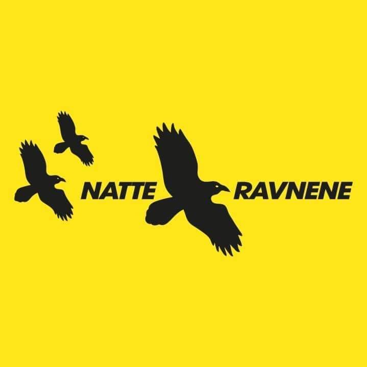 Logo - NATTERAVNENE KONGSVINGER