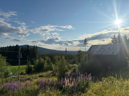 De skogfinske gårdene ligger ofte høyt i landskapey med godt utsyn. Her Nordre Furuberget.