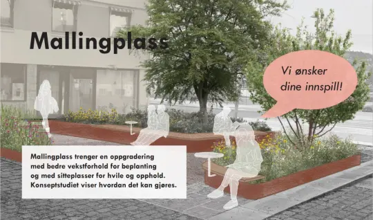 Mallingplass