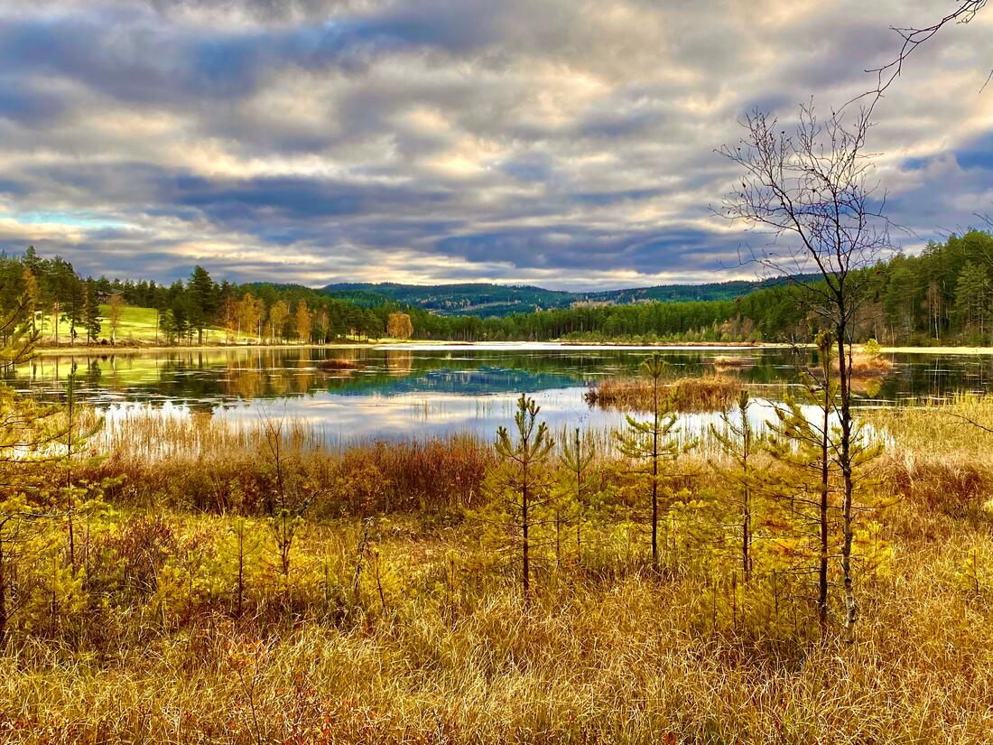 Bilde av et tjern hvor himmelen speiler seg i vannet. Rundt i skogen er det høstfarger. Et gyllent preg.