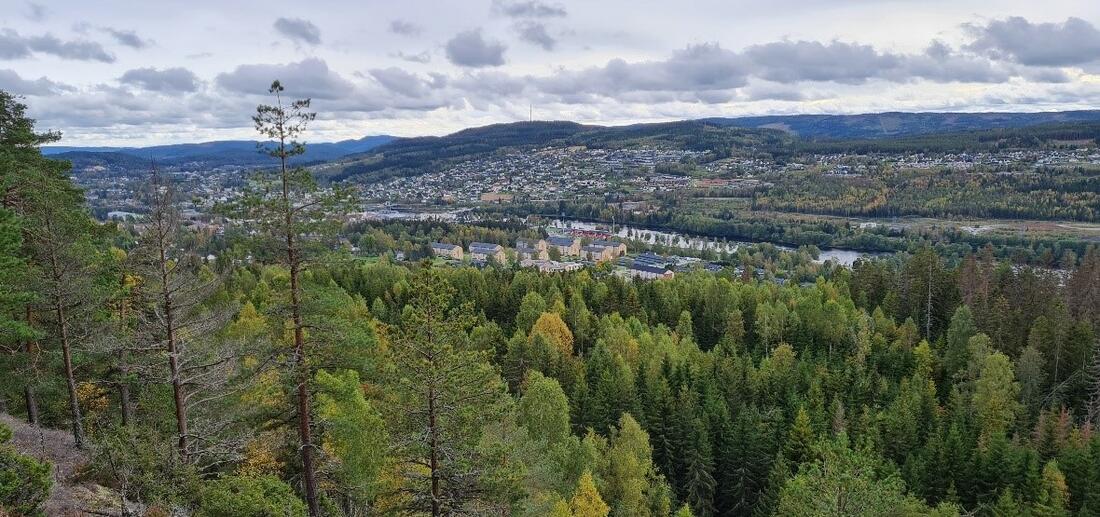 Bilde av Kongsvinger by som er omringet av skog og natur.
