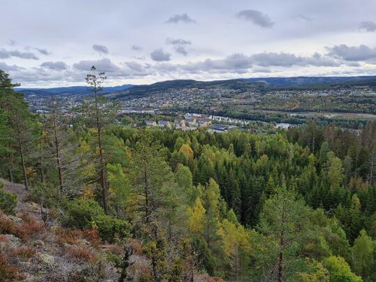 Bilde av Kongsvinger by som er omringet av skog og natur.