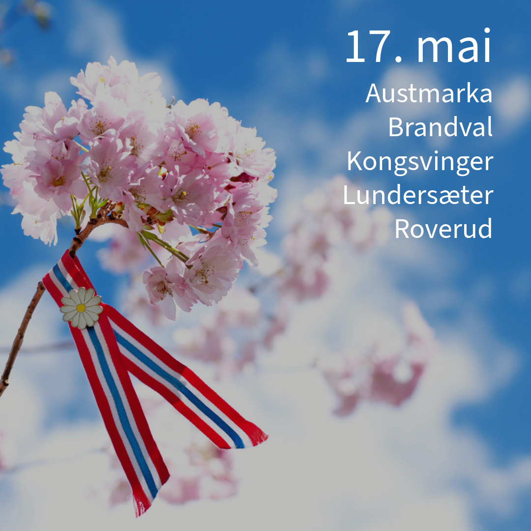 Bilde av en 17. mai sløyfe på et blomstrende kirsebærtre.