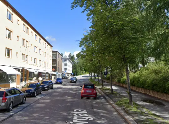 Trær i Storgata